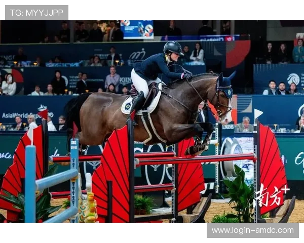 了解香港赛马会官方应用的全面功能和使用指南